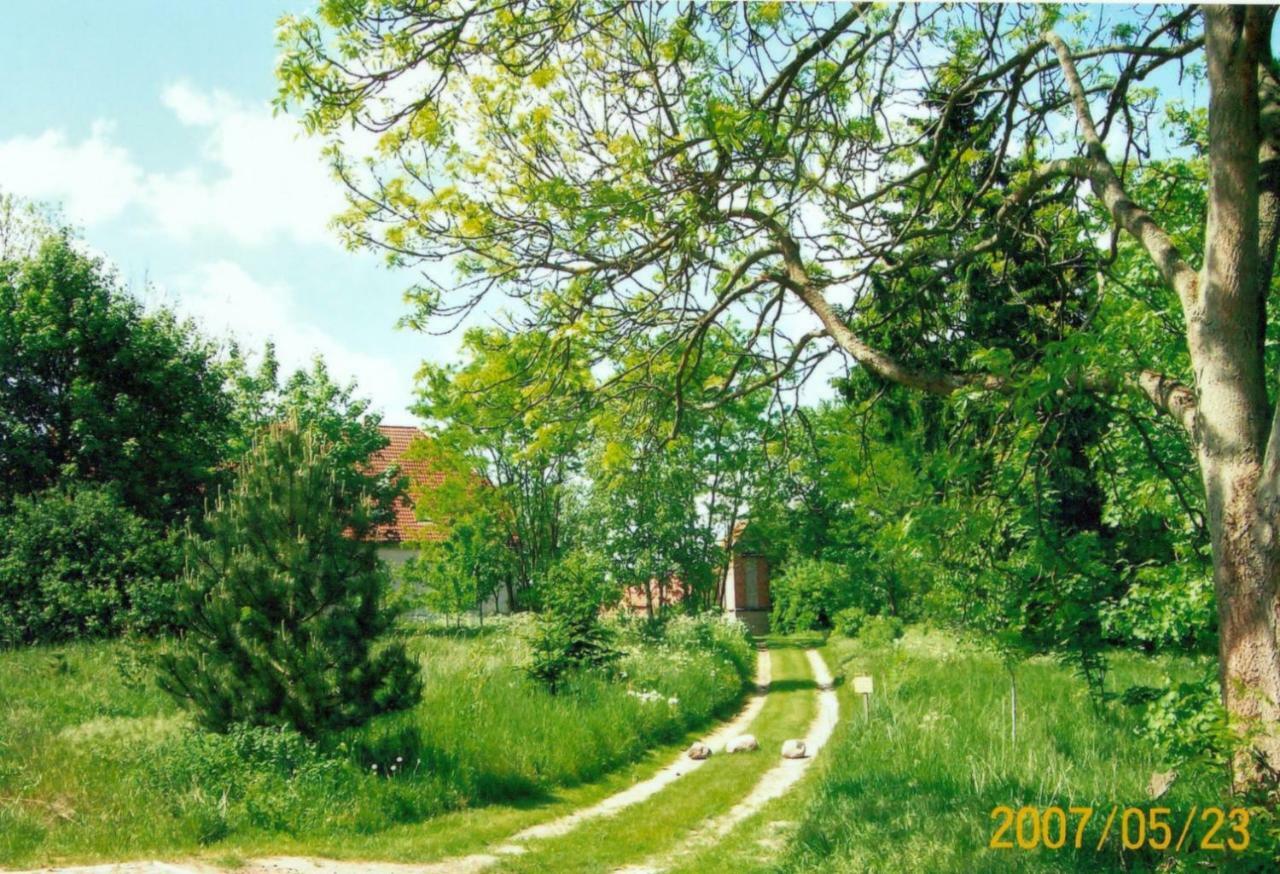 Gutshaus Alt-jargenow *